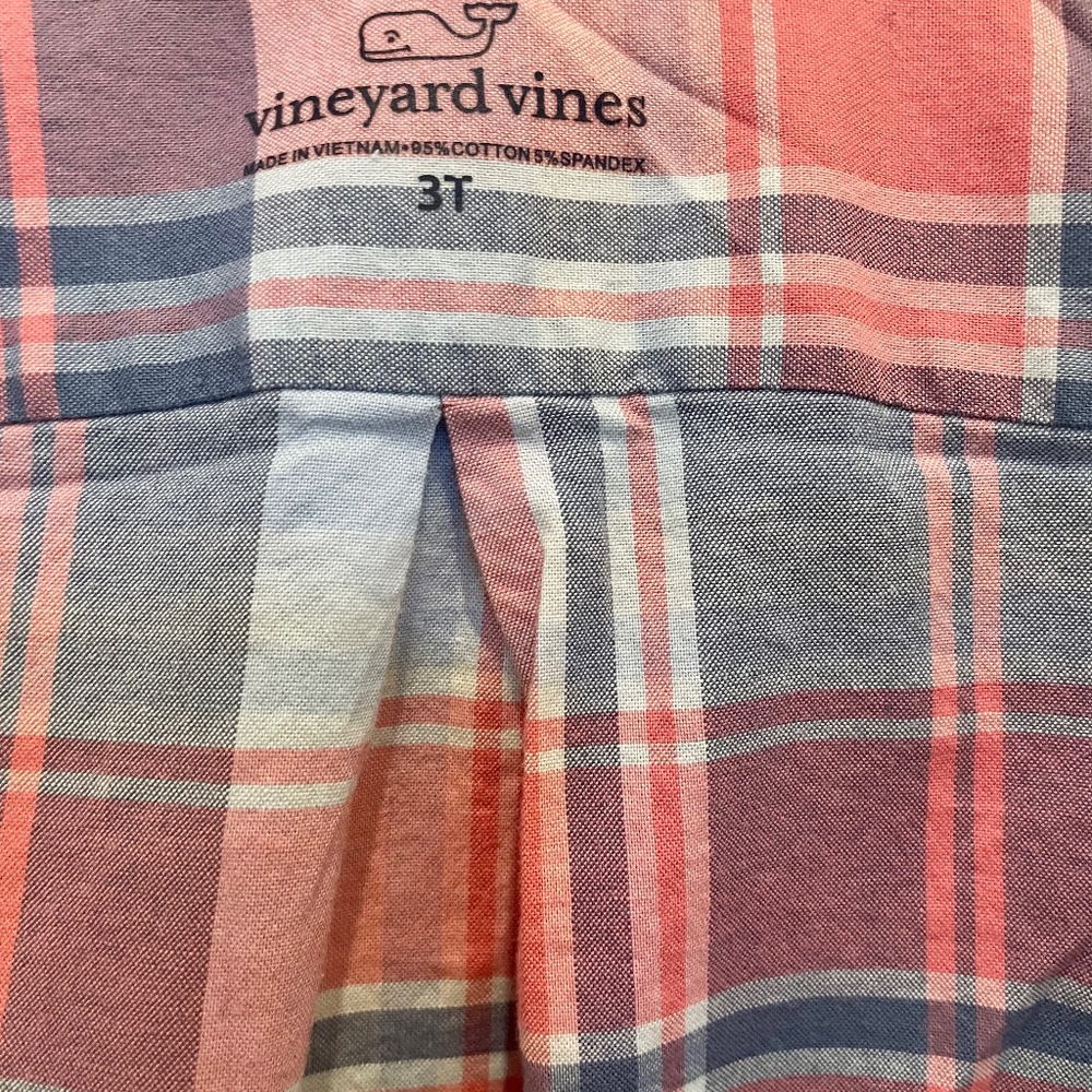 Vineyard vine